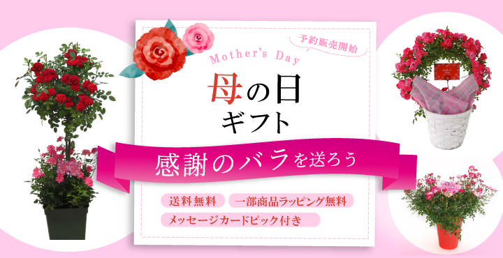 bn_mothers_day2.jpg