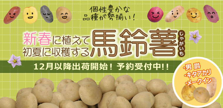potato_haru.jpg