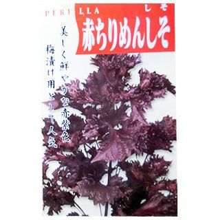 しそ 種 【赤ちりめんしそ】 50ml | 農業屋.com