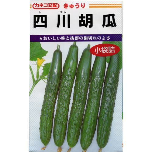 きゅうり 種 【四川】 11粒 | 農業屋.com