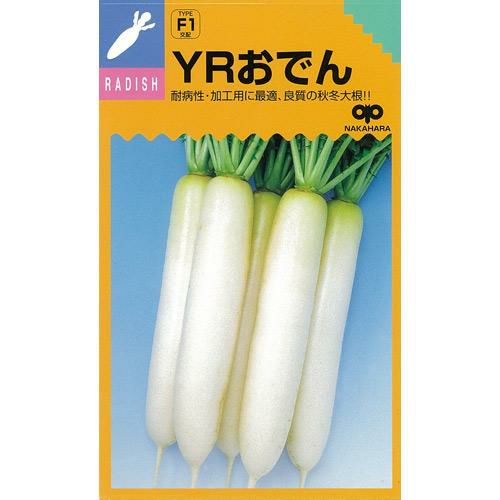 大根 種 Yrおでん 種子 小袋 約２０ｍｌ 農業屋 Com