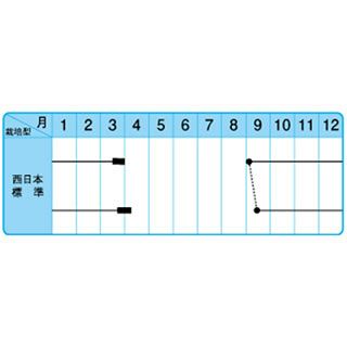 たまねぎ 種 【博多こがねEX】 10ｇ