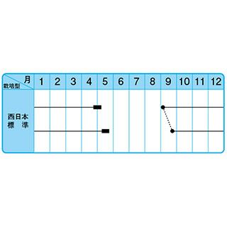 たまねぎ 種 【こはく2号】 10ｇ