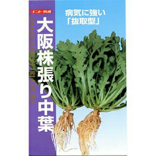 15 noritama555様　露茜　サイズmix 10kg 果樹苗 【 梅 露茜 1年生苗木 】 品種 露茜 品種登録番号 17561