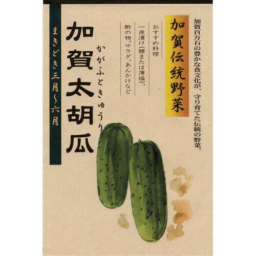 おすすめ　きゅうり　胡瓜　04 北進[胡瓜] - e-種や｜国内最大級の野菜種・花種・苗・農業資材
