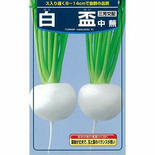 カブ 種 【 白盃中蕪 】 3ml ( カブの種 ) | 農業屋.com