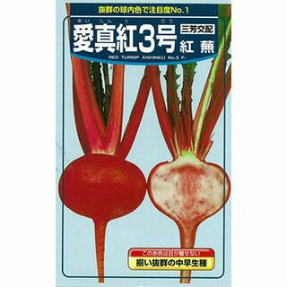 さつまいも苗 【 バイオ べにはるか 】 100本 【予約販売 芋づる