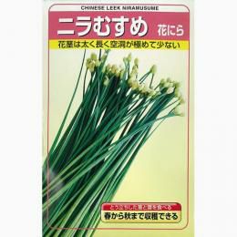 にら 種 【 花ニラ ニラむすめ 】 種子 1dl | 農業屋.com