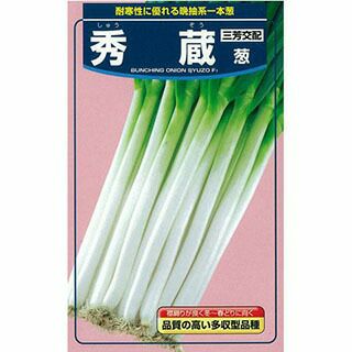 ハナコ　ネギ種子3品種 ハナコ ネギ種子3品種 ハナコ ネギ種子3品種 ハナコ ネギ種子3品種 送料