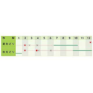 ネギ 種 【 ネギ吉蔵 】 小袋（7ml） ( ネギの種 )