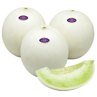 メロン 種 【 ハスキー 】 小袋（7粒） ( メロンの種 )