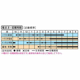 なす 種 【絹皮水茄子】