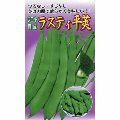 絹さや image_normal.jpeg?1703567314