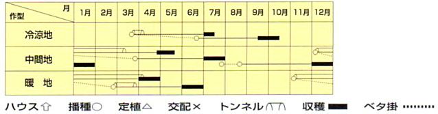 にんじん 種 【 ＵＳ春蒔五寸 】 種子 １Ｌ缶 | 農業屋.com