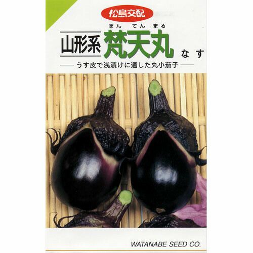 ナス 種 【 TNA－112（PC千両） 】 1000粒 ( ナスの種 ) | 農業屋.com