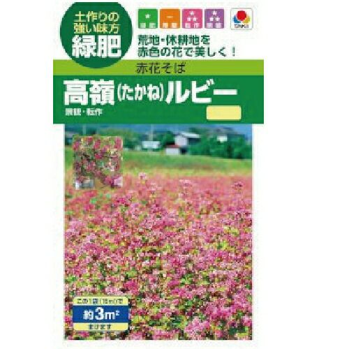 緑肥・牧草 種 【 赤花そば 高嶺ルビーNEO 】 種子 小袋（約15ml） | 農業屋.com