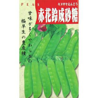 きぬさやエンドウ 種 【赤花鈴成砂糖】 20ml | 農業屋.com