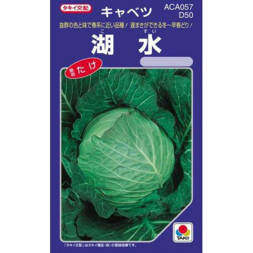 さつまいも苗 【 べにはるか 】 50本 【予約販売 芋づる