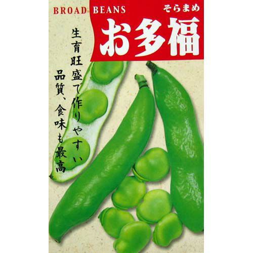 絹さや きぬさやエンドウ】つるあり すじなしキヌサヤ スジナイン