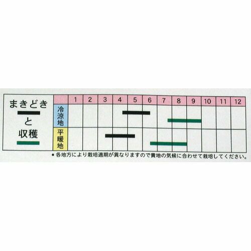 大根 種 白首夏大根 種子 小袋 約10ml 農業屋 Com
