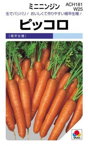 さつまいも苗 【 安納芋 】 100本 【予約販売 芋づる さつまいも