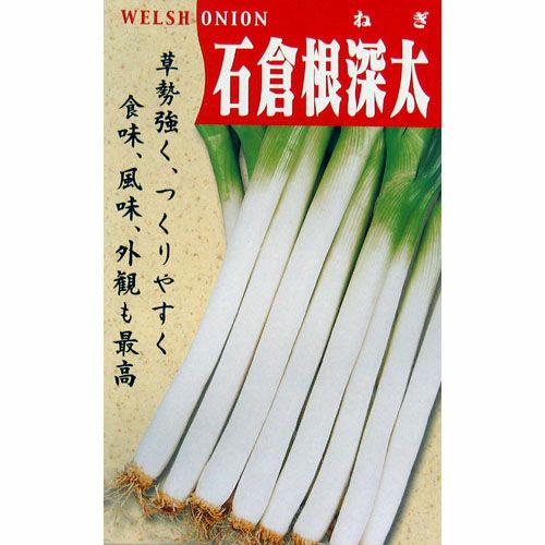 ねぎ太郎 ネギ 種 【石倉根深太】 小袋 | 農業屋.com