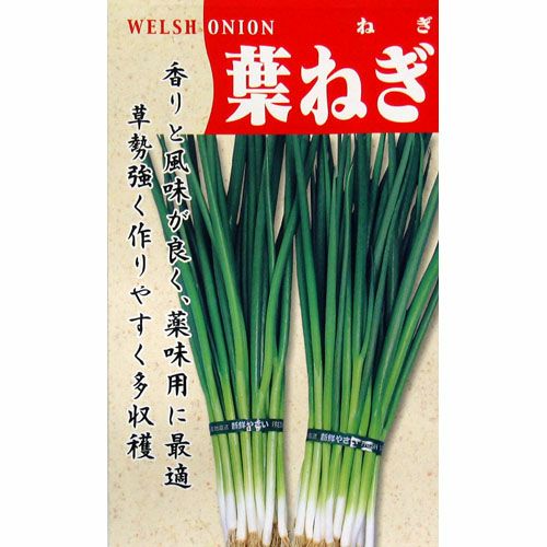 ネギ 種 【葉ねぎ】 15ml | 農業屋.com