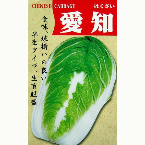 さつまいも苗 【 栗かぐや 通常苗 】25本 【くりかぐや 予約販売