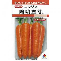 にんじん様 にんじん 種 【 陽明五寸 】 種子 L1万粒 | 農業屋.com