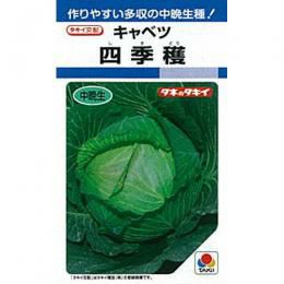 キャベツ 種 【 四季獲 】 小袋(0.9ml) ( キャベツの種 ) | 農業 キャベツ 種 【 四季獲 】 小袋(0.9ml) ( キャベツの種 ) | 農業
