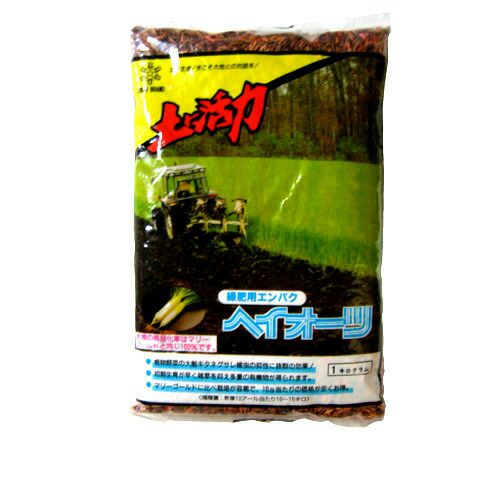 緑肥・牧草 種 【 えん麦 ヘイオーツ 】 種子 1kg | 農業屋.com