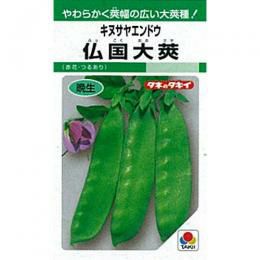 絹さや きぬさやエンドウ | 農業屋.com