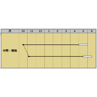 実取エンドウ 種 【ウスイ】 1L