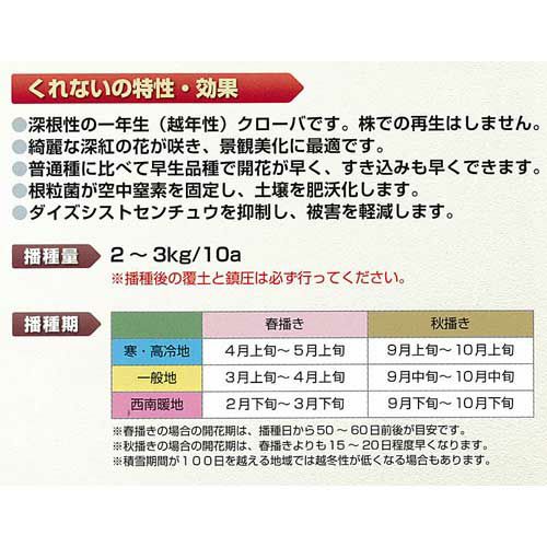 緑肥・牧草 種 【 クリムソンクローバ くれない 500g 】 種子