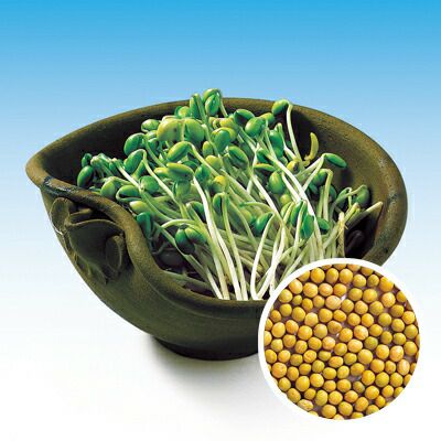 大豆もやしサラダ仕立て｜コモディイイダネットスーパー｜楽天