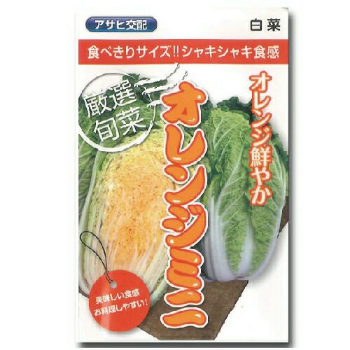 サツマイモ切苗 ハロウィンスウィート 100本 さつまいも切苗 品種：ハロウィンスイート【野菜の苗／切苗(約25