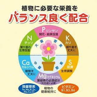 花工場　原液　８００ｍｌ