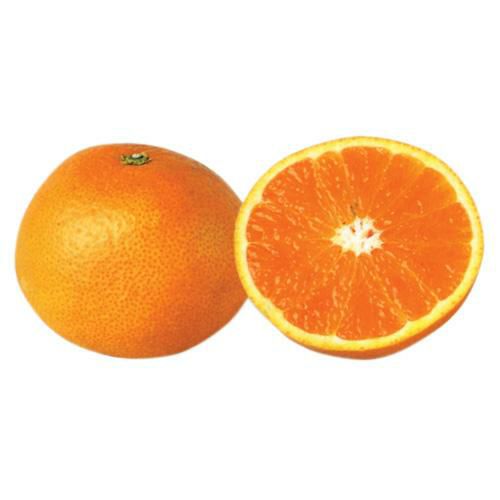 柑橘類の苗 【 はるみ 2年生苗木 】 | 農業屋.com