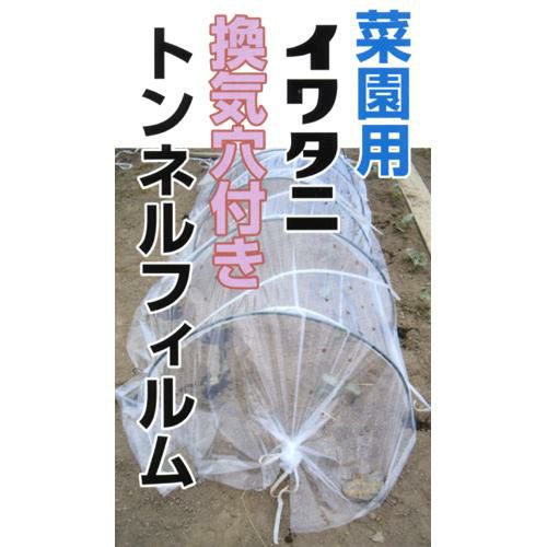 菜園用 換気穴付きトンネルフィルム 】（サイズ0.05×180×10m