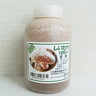 【 しいたけ種菌 オガ菌 1000cc 】[ 椎茸 しいたけ シイタケ きのこ キノコ 菌 種 栽培 ]
