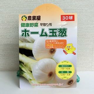 ほうれん草 種 【 スーパートニック 】 3000粒 ほうれん草の種