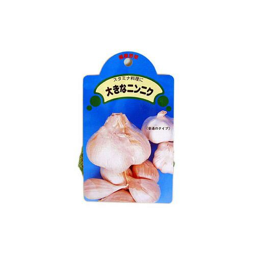 まさやんさま　ジャンボにんにく 15キロ 楽天市場】【 種 球根 ジャンボ にんにく 国産 8片 】 にんにく