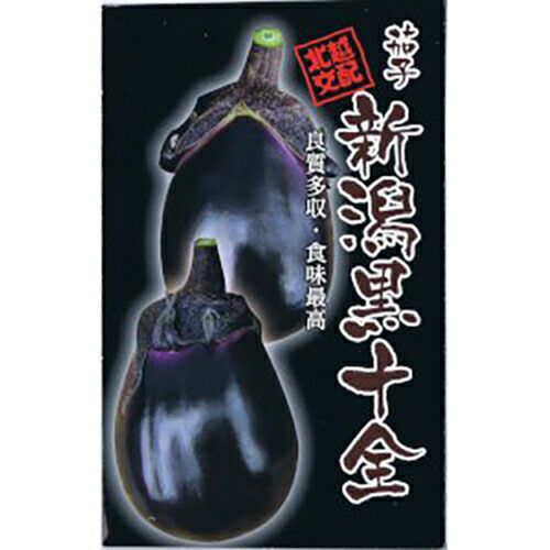 ナス苗 【 新潟黒十全ナス 】 苗 4本セット 【予約販売】 | 農業屋.com