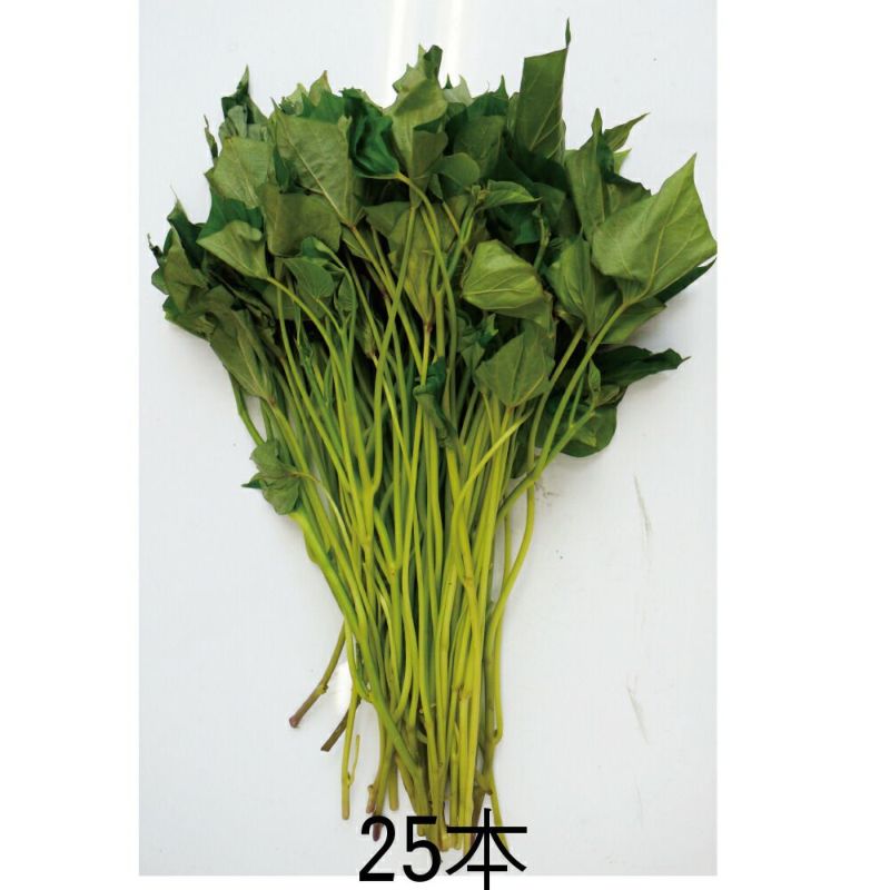 さつまいも苗 【 安納芋 】 25本 【予約販売 芋づる さつまいも さつまいも苗 【 安納芋 】 25本 【予約販売 芋づる さつまいも