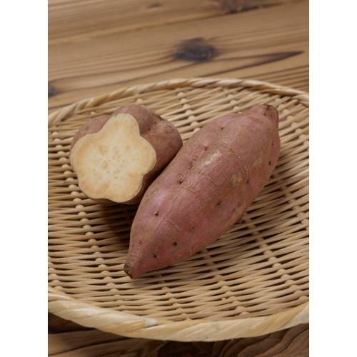 送料無料 いくらから 000000008142-02-l.jpg?t= 根菜・豆類・もやし
