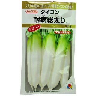 『3年保証』 耐病総太り 【 種 大根 】 野菜種 野菜種子 野菜 種 （ 35ml 根菜・豆類・もやし