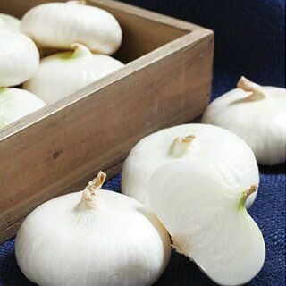 たまねぎ 種 【 愛知白早生 】 小袋 | 農業屋.com