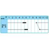 たまねぎ 種 【 くれない 】 10ｇ