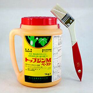 殺菌剤 トップジンMペースト 1kg
殺菌剤 トップジンMペースト 1kg