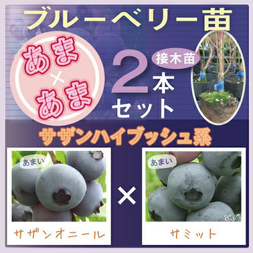 000000009583-02-l.jpg?t=